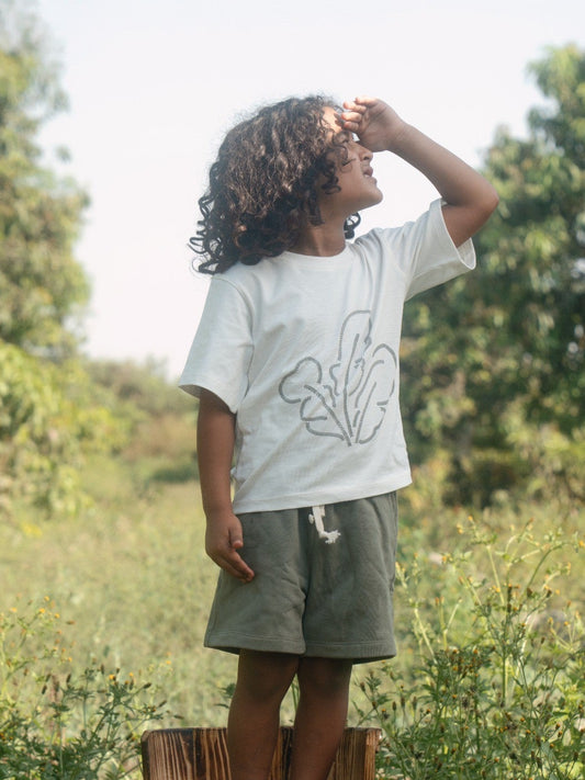 Olive Leaves Set 🌿