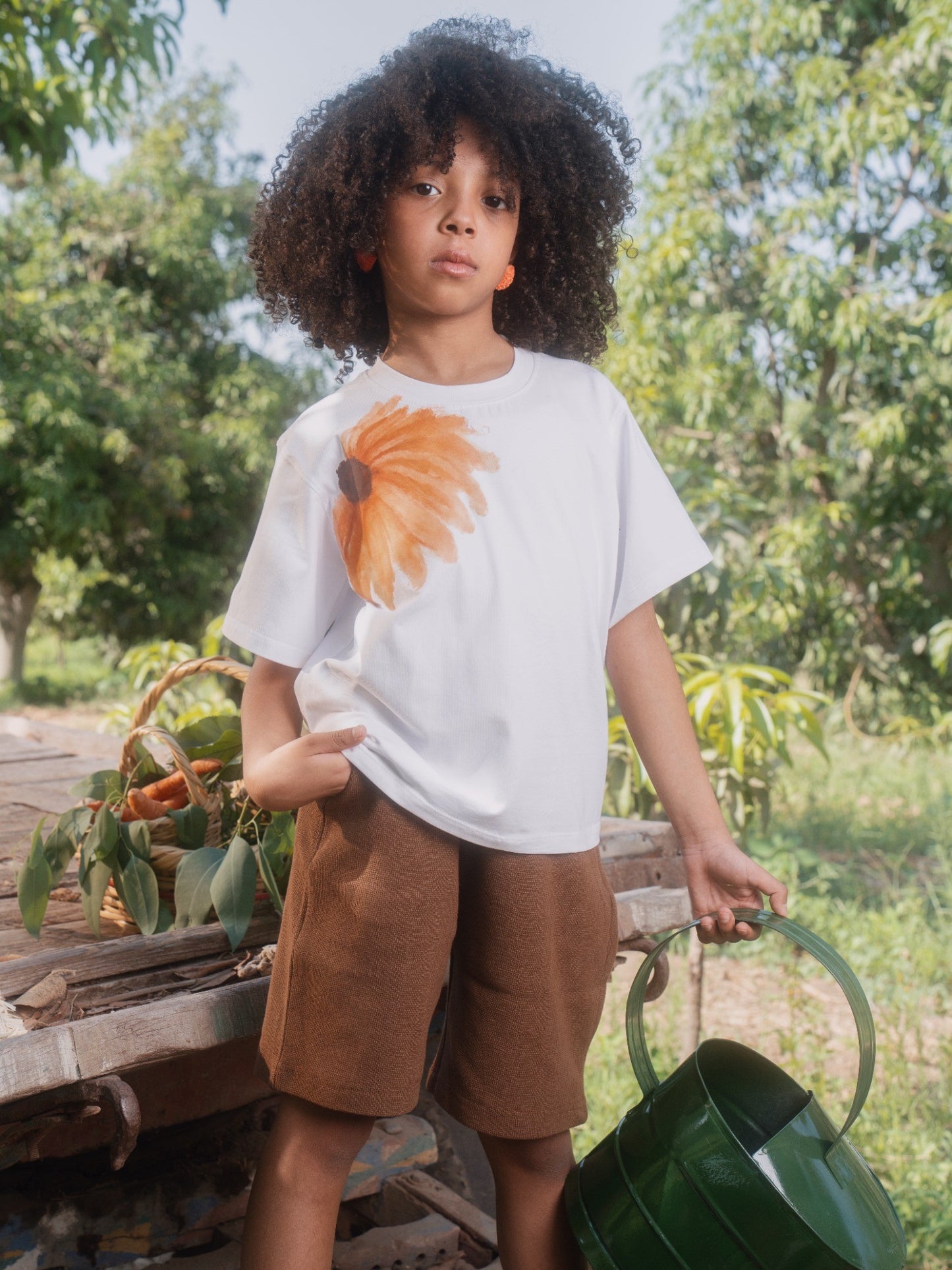 Sunflower set